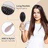 LEV Boar Bristle Hair Styling Brush - Wet Hair Brush for Curly, Thick, Natural Black Hair - Detangling & Smoothing Brush - Anti Frizz Hair Styling Brush - 360 Wave Brush - Beige