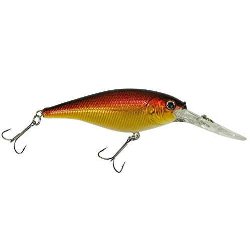 Berkley Flicker Shad Fishing Lure, Black Gold Sunset, 5/16 oz, 2 3/4in | 7cm Crankbaits, Size, Profile and Dive Depth Imitates Real Shad, Equipped with Fusion19 Hook