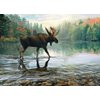 Cobble Hill 1000 Piece Puzzle - Moose Crossing - Sample Poster Included
