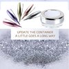 PrettyDiva Chrome Nail Powder - Silver Mirror Effect Nail Powders, Highlight Metallic Chrome Powder for Nail Art
