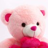 BEJOY Teddy Bear Stuffed Animals Plush Bear Holding Rose Soft Plush Toy Valentine's Day, 16 Inch, Pink