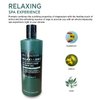 Pecksniff's Relax Magnesium 3-in-1 Arnica & Sage Shower Gel | 500ml /16.9 Fl Oz