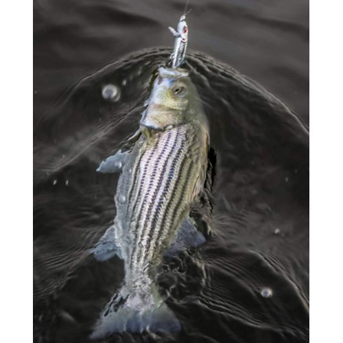 Bomber Lures Jointed Wake Minnow Fishing Lure, Produces a Fish-Enticing V-Wake, Freshwater Fishing Gear and Accessories, 5 3/8", 3/8 oz, Bone Flash, (BJWM5455)