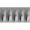Pasco Specialty Products Pet Lover's Set of Five Silver PAW Cremation URN Necklaces - Made in The USA - Includes 5 Pouches, Ball-Chains & Fill Kit