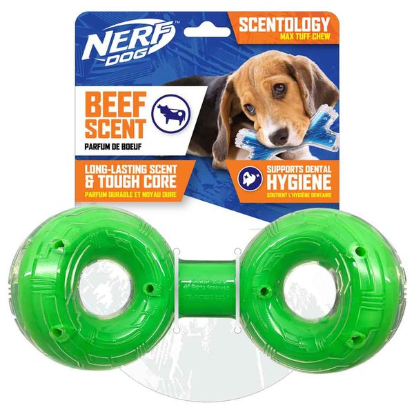 Nerf Green Scented Beef Scentology Infinity Double Ring Dog Toy, Small