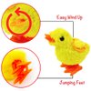 Liberty Imports 12 Pack Wind-Up Chicks - Fluffy Jumping Chicken Ducklings Bulk Wind Up Novelty Easter Party Favors Kids Toys