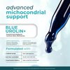 Methylene Blue 1% USP Grade with Urolithin A - Blue Urolin+ - Brain & Mitochondria Support Supplement - Pharmaceutical Grade, No Formaldehyde - Cognitive & Cellular Energy Booste