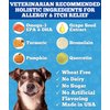 Well Loved Dog Allergy Chews - Dog Allergy Relief, Made in USA, Vet Developed, Hot Spot Treatment for Dogs, Dog Itch Relief, Anti Itch for Dogs, Dog Vitamins, Dog Skin Allergies Treatment, 120 Count