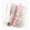 Bunny Party Cups - 12 Set Plastic Lids Straws Somebunny is One First Birthday