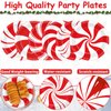 Wiooffen 80Pcs Christmas Peppermint Candy Paper Plates Party Supplies 9Inch Red White Candy Mint Tableware Christmas Dinner Dessert Plate Disposable Dinnerware Decorations for Holiday Xmas Theme Party