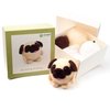 Pug Felting Kit - Starter, Felting Kit for Beginners Adult and Craft Kit, Unique Felt Animal, Felting Tools Included Felting Needles, Felting Pad, Felting Wool and Video Instruction