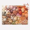 Galison Vibrant Seashells – Christine Chitnis 1000 Piece Puzzle Featuring Chromatic Seashell Arrangement On Sand