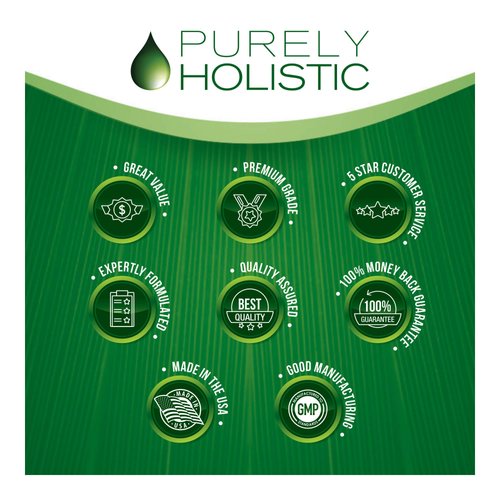 Purely Holistic CoQ10 100mg - 240 SoftGels - 8 Month Supply - Ubiquinone Coenzyme Q10 Supplement - with Organic Olive Oil - Soy Free Co Q 10 - Made in The USA