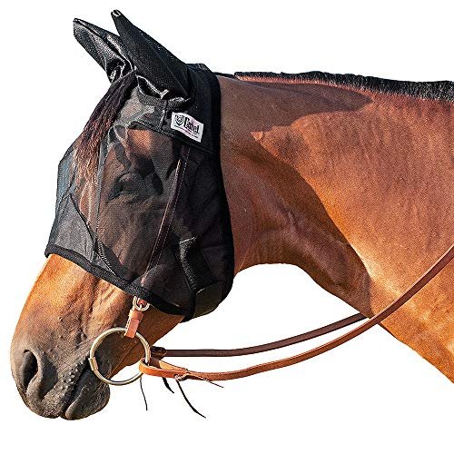 Cashel Quiet Ride Horse Fly Mask with Ears, Black, Yearling
