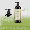 Cliove Clean and Pure Clarifying Shampoo | Deep Cleansing Shampoo | Purifying Sulfate Free Detox Shampoo for Curly, Oily & Damaged Hair | 16oz