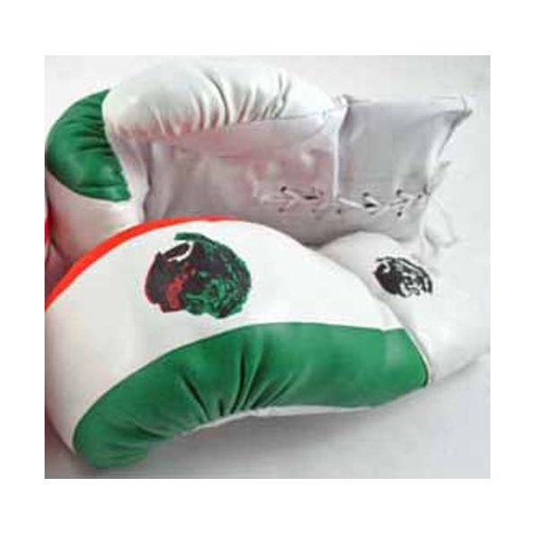 Shelter 1 Pair of Adult 16oz Boxing Gloves Mexico Flag Boxer