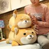 ERDAO Shiba Inu Plush Pillow,Soft Corgi Stuffed Animals Toy Cute Sleeping Puppy Doll Gifts for Kids (Round Eyes, 19.6 inch)