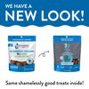 Shameless Pets Soft-Baked Dog Treats, Blueberried Treasure - Natural & Healthy Dog Chews with Mint for Immune Support - Dog Biscuits Baked & Made in USA, Free from Grain, Corn & Soy - 1-Pack