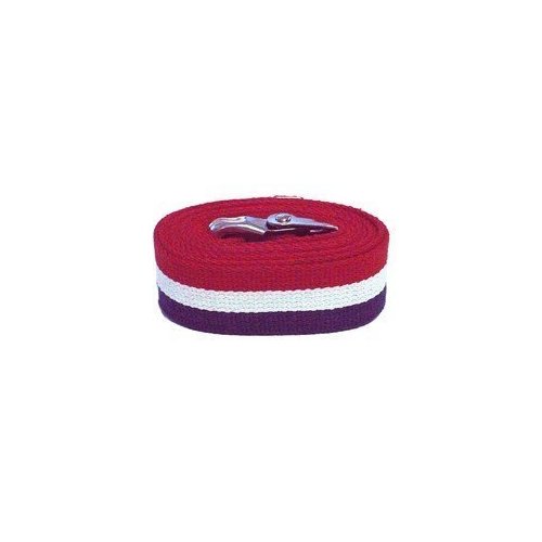 Kinsman Enterprises 80307 Gait Belt with Metal Buckle, 2" Width, 60" Length, Patriot