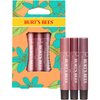 Burt's Bees Lip Balm Spring Gifts, 3 Nourishing Lip Care Shimmers for All Day Glow, Kissable Color Spring Gift Set -Peony, Fig & Rhubarb (Packaging May Vary)