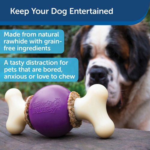 PetSafe Busy Buddy Bouncy Bone Dog Toy - Treat-Holding Toys for Dogs- Scented for Enhanced Sensory Stimulation- Rigorously Tested Ingredients- for Aggressive Chewers- Treat Refills Available - M/L
