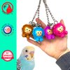 Bonka Bird Toys 2279 Spikey Monkey Small Medium Bird Toy Quality Durable Plastic Construction for Conures Cockatiels Parakeets and Other Similar Sized Birds