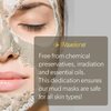 Waxelene Detoxifying Mud Mask Dry Blend - Deep Pore Cleanse Ritual Eczema Acne Oily Sensitive Skin Activated Charcoal Bentonite Dead Sea Clay