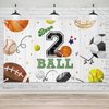 Lofaris Born 2 Ball Balloon Banner Sports 2nd Birthday Party Decorations Background Baseball Basketball Football Backdrop for Boys 2 Years Old Birthday Wall Supplies 70.8 x 43.3 Inch