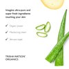 Trisha Watson Organics Planted Superfood Moisture | All-Natural Face/Skin Moisturizer for Daily Use | Cream with Aloe, Shea Butter, Jojoba | 2 oz | 59 mL