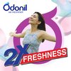 Odonil Nature Air Freshener (Pack of 4) Net 200gm