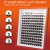 VYRILA Lash Cluster 132pcs Individual Lashes,8-16mm Diy Lash Extension,D Curl Lash Clusters Wispy,3D Natural Lash Clusters Look Like Eyelash Extension DIY at Home (Orange Whisper-D-8-16mix)