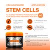 Liss Expert Professional Stem Cells Hair Care Set, Restoring Shampoo and Stem Cells Treatment with Argan Oil and Collagen, Anti-Aging and Reconstruction, 8.45 oz Shoulder Length application