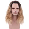 WTHCOS Men Wig Black Blonde Ombre Medium Ombre Black Blonde Curly Wavy Wig Male Wig Middle Part Wig Heat Resistant Synthetic Hair Cosplay Party Costume Halloween Daily Wear Wig With Wig Cap