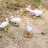 30pcs O Gauge Farm Animal 1:43 Scale Painted Chicken Duck Goose PVC Model Train Layout AN4304-30-AMUS