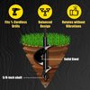 Power Planter Bulb & Bedding Black Auger Bit (3"x7") with 3/8" Non-Slip Hex Drive for Bulb Planting and Gardening Equipment for Grass and The Lawn, Mixing Paint, Earth Auger for Home Projects