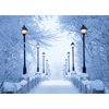 Psaris Productions Bridge Lights and Snow Christmas Cards Boxed With Envelopes Set of 12 Holiday Cards and 12 Envelopes. Made in USA.