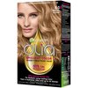 Garnier Olia Ammonia Free Hair Color [8.0] Medium Blonde 1 Each (Pack of 3)