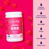 Ultima Replenisher Daily Electrolyte Drink Mix – Raspberry, 90 Servings – Hydration Powder with 6 Key Electrolytes & Trace Minerals – Keto Friendly, Vegan, Non-GMO & Sugar-Free Electrolyte Powder