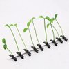 Green Funny Grass Hair Clips, 4 Pcs Bean Sprout Hairpins Bean Sprout Hair Clips Grass Barrette Green Leaf Plant Antenna Hair Pins Hair Accessories for Women Girls Kids Hair Clips