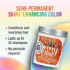 Punky Flame Semi Permanent Conditioning Hair Color, Non-Damaging Hair Dye, Vegan, PPD and Paraben Free, Transforms to Vibrant Hair Color, Easy To Use and Apply Hair Tint, lasts up to 35 washes, 3.5oz