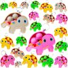Roaqua 30 Ocean Mini Turtle animal Fidget Pop Gifts Prizes For Kindergarten Kids,Bulk Mini Birthday Graduation Summer Party Favors for Classroom students