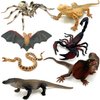Gemini&Genius 7Pcs Reptile Animal Toys for Kids, Amphibians Desert Animal Toys with Komodo Dragon Lizard Snake Spider Chameleon, Cold Blooded Animal Figures Toy Set, Play and Display Gifts for Kids