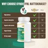 Kynderynl Nattokinase Supplement 10000FU – Organic Natto Enzyme 500mg for Circulatory Wellness, Enteric-Coated Tablets Aiding Digestion & Assisting Absorption, Vegan, 90 Tablets (90-Day Supply) -2P