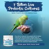 Vital Planet - Flora Bird Probiotic Powder Supplement with 10 Billion Cultures and 7 Diverse Strains, High Potency Probiotics for All Birds for Avian Digestive and Immune Support 80 Scoops 1.06 oz