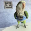Bird Flight Harness Vest, Parrot Flight Suit with Leash, Bird Flying Clothes with Rope and Handle for Outdoor Activities (with Leash,Green Quaker)