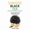 Secrets Of Tea- Ginger Black Tea- Certified USDA Organic- 20 Sachets- 40 Servings- 20 Count (Pack Of 1)