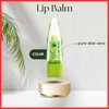 BioRLX 99% Purity Aloe Vera Lip Balm with Color(Tinted) (Six Lip Balms)
