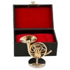 Dselvgvu Copper Miniature French Horn with Stand and Case Mini Musical Instrument Miniature Replica Dollhouse Model Mini French Horn Home Decoration (3.75"x1.77")