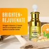 Ginger Face Serum + Vitamin C + Turmeric, Organic Acne Treatment, Clear skin Tone, Hydrate Dull & Dry Skin, Anti-Aging Facial Serum - 1 FL OZ