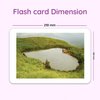 hungry brain Flash Cards for Toddlers, 24 Still Nature Flashcards, Double-Sided, Montessori, Educational, Kindergarten - Preschool Learning Activities, Gifts for Kids, 1, 2, 3, 4 Years Babies